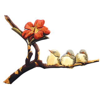 Wonder Intarsia Project Pattern - The Winfield Collection