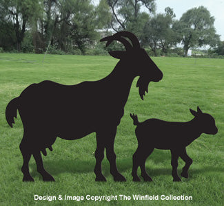 Goat Shadows - The Winfield Collection