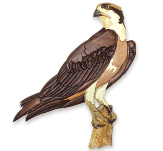 Osprey Intarsia Design Pattern - The Winfield Collection