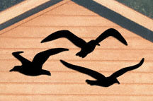 Seagull Shadows Woodcrafting Pattern - The Winfield Collection