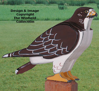 3D Life-Size Hawk Woodcraft Pattern - The Winfield Collection
