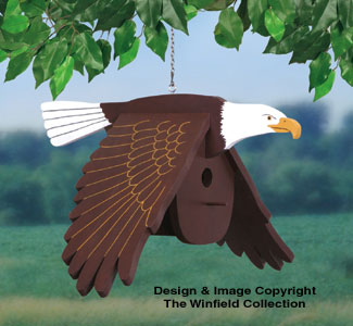 Flying Eagle Birdhouse Woodcraft Pattern - The Winfield Collection