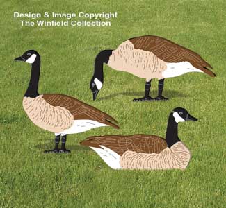 Canada Geese Woodcraft Pattern - The Winfield Collection