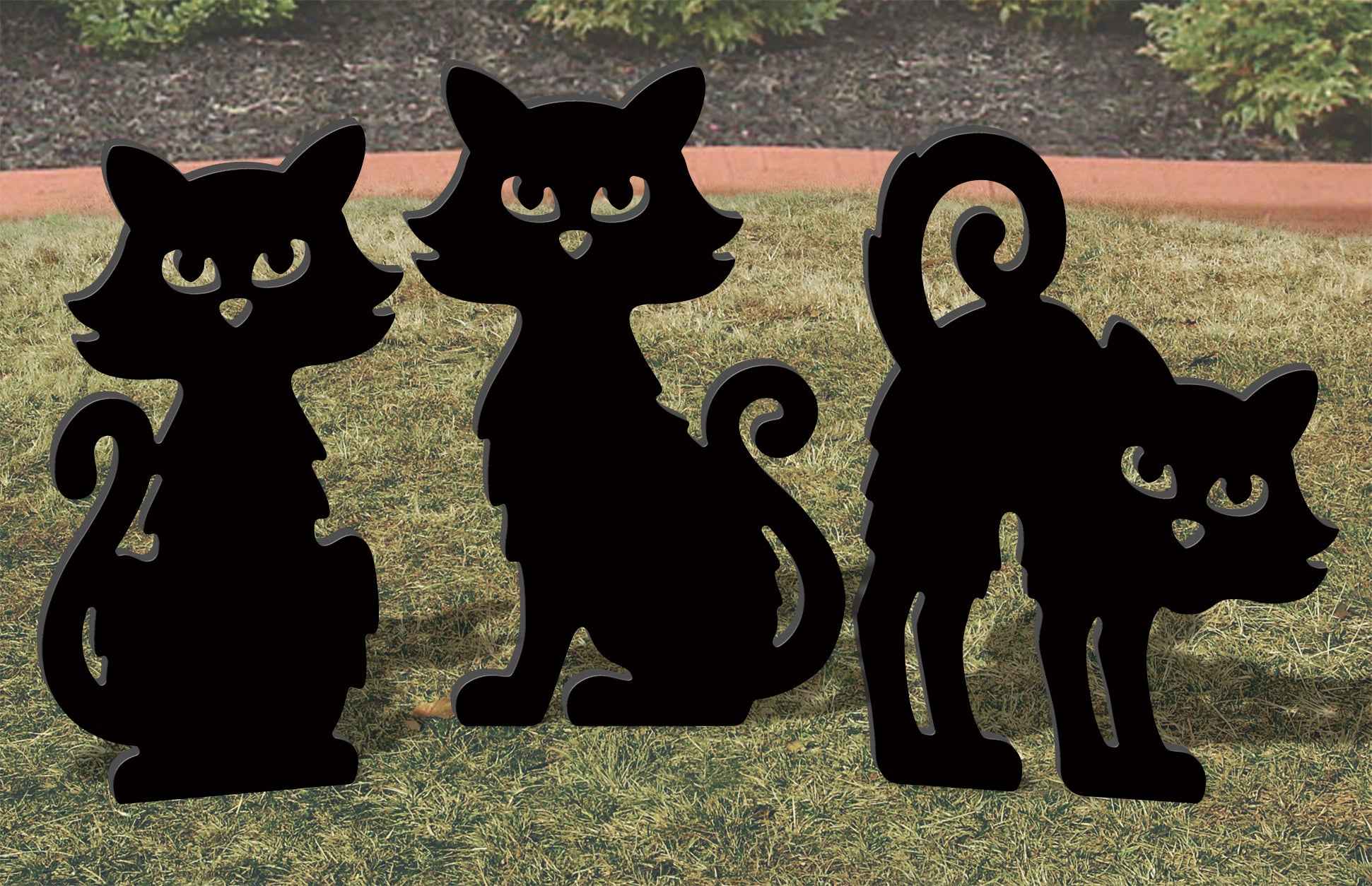 Black Cat Trio All-Weather Outdoor Display