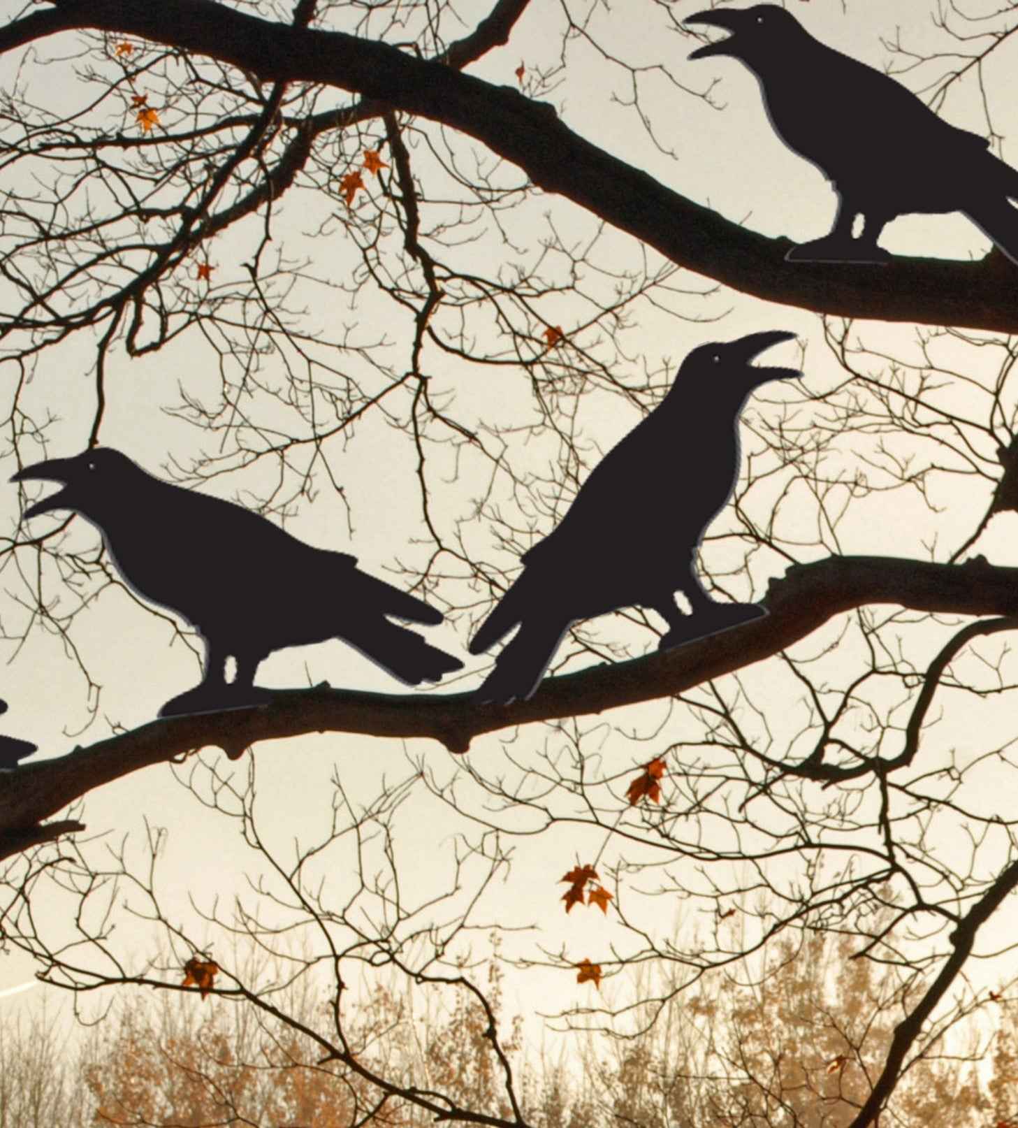 Scary Ravens All-Weather Outdoor Display