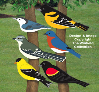 Giant Bird Cutouts II Woodcraft Pattern - The Winfield Collection