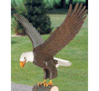 Majestic Eagle Wood Pattern - The Winfield Collection