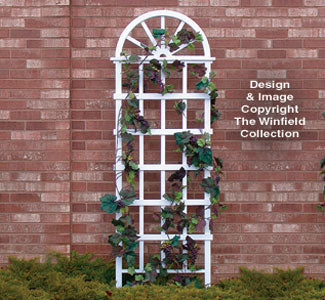 Wagon Wheel Trellis Woodcraft Pattern(F) - The Winfield Collection