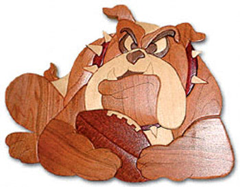 Touchdown! Project Pattern - The Winfield Collection