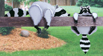 Raccoon Rail Pets Woodcraft Pattern - The Winfield Collection