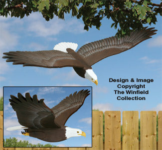 3D Life-Size Flying Eagle Pattern - The Winfield Collection