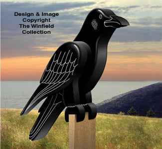 3D Crow Pattern