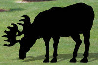 Yard Shadows - The Winfield Collection