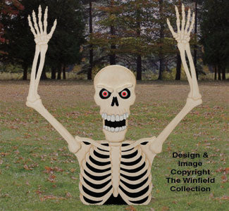 Motorized Rising Skeleton Plans