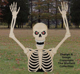 Motorized Rising Skeleton Plans