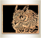 Eulen-Scrolled-Art-Design-Muster