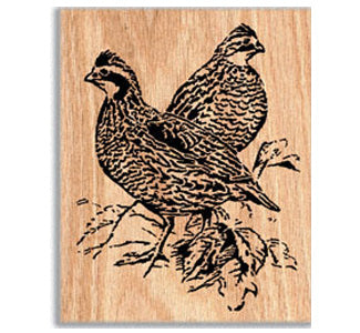 Quail Project Pattern - The Winfield Collection