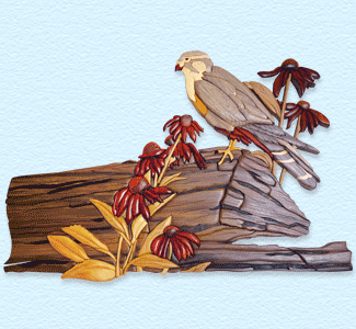 Majestic Falcon Intarsia Design Pattern - The Winfield Collection