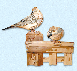 Mourning Dove Intarsia Design Pattern