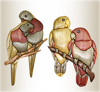 Electus Parrots & LoriKeets Intarsia Design Pattern - The Winfield Collection