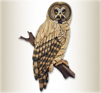 Great Grey Owl - The Winfield Collection