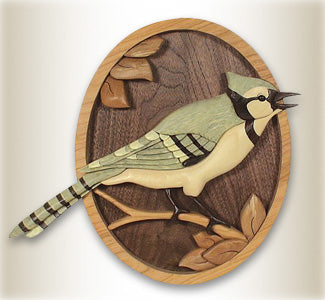 Blue Jay Intarsia