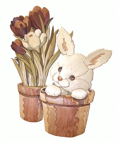 Peek-A-Boo Bunny Intarsia Project Pattern