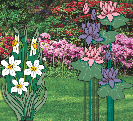 Giant Beauties - The Winfield Collection