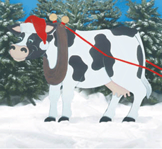 Christmas Pattern Collection - The Winfield Collection