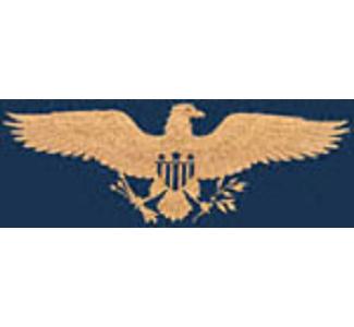 Freedom Eagle Scroll Saw Pattern - The Winfield Collection