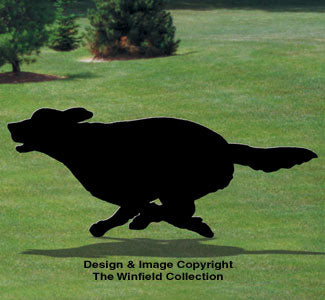 Running Golden Retriever Shadow Pattern
