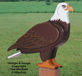 3D Life-Size Eagle Woodcraft Pattern - The Winfield Collection