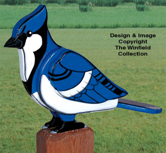 3D Giant Blue Jay Woodcraft Pattern