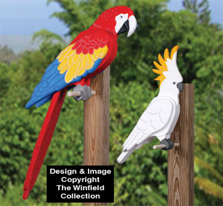 3D Tropical Birds Pattern Set (W1120YD & W1121YD)