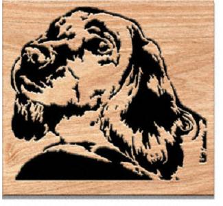 Gazing Autumn Project Pattern - The Winfield Collection