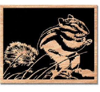 Chipmunk Project Pattern - The Winfield Collection