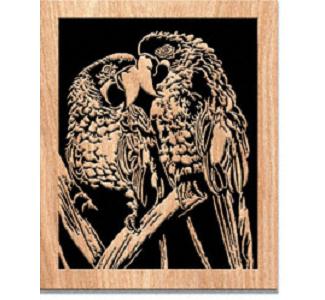 Passionate Parrots Project Pattern - The Winfield Collection