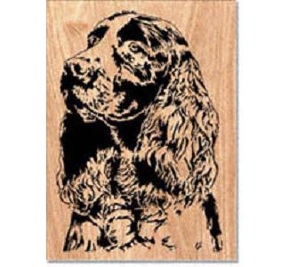 Springer Spaniel Project Pattern - The Winfield Collection