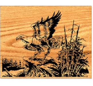 Eagle Landing Scrolled Art Project Pattern - The Winfield Collection
