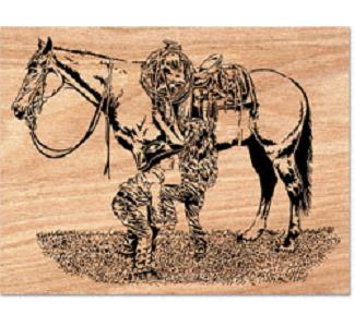 LADIES FIRST - The Winfield Collection