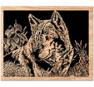 Suspicious Eyes Project Pattern
