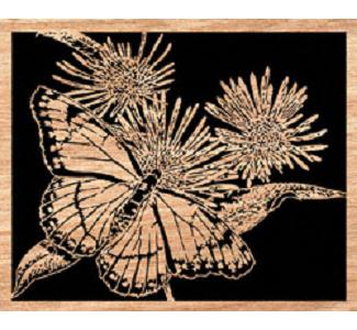 Viceroy on Asters Project Pattern - The Winfield Collection