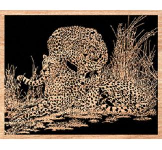 Vigilant Cheetahs Project Pattern - The Winfield Collection