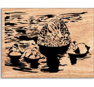 Champ Scrolled Art Project Pattern - The Winfield Collection