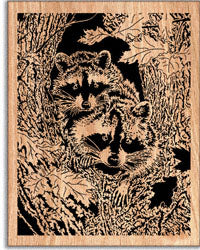 Double Trouble (Waschbär-Duo) Gerolltes Kunstmuster