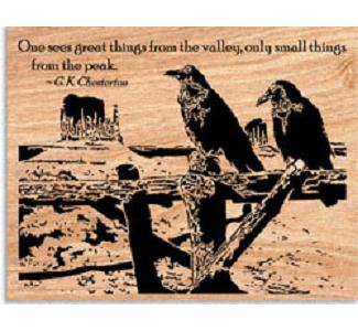 Desert Ravens Project Pattern - The Winfield Collection