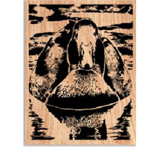 Mallard Project Pattern - The Winfield Collection