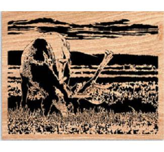 Grazing Elk Project Pattern - The Winfield Collection