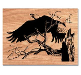 Eagle Launch Scrolled Art Project Pattern - The Winfield Collection