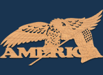 Eagle "America"  Project Pattern